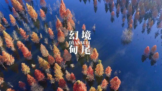 完字的笔顺 - 专业的问答类网站
