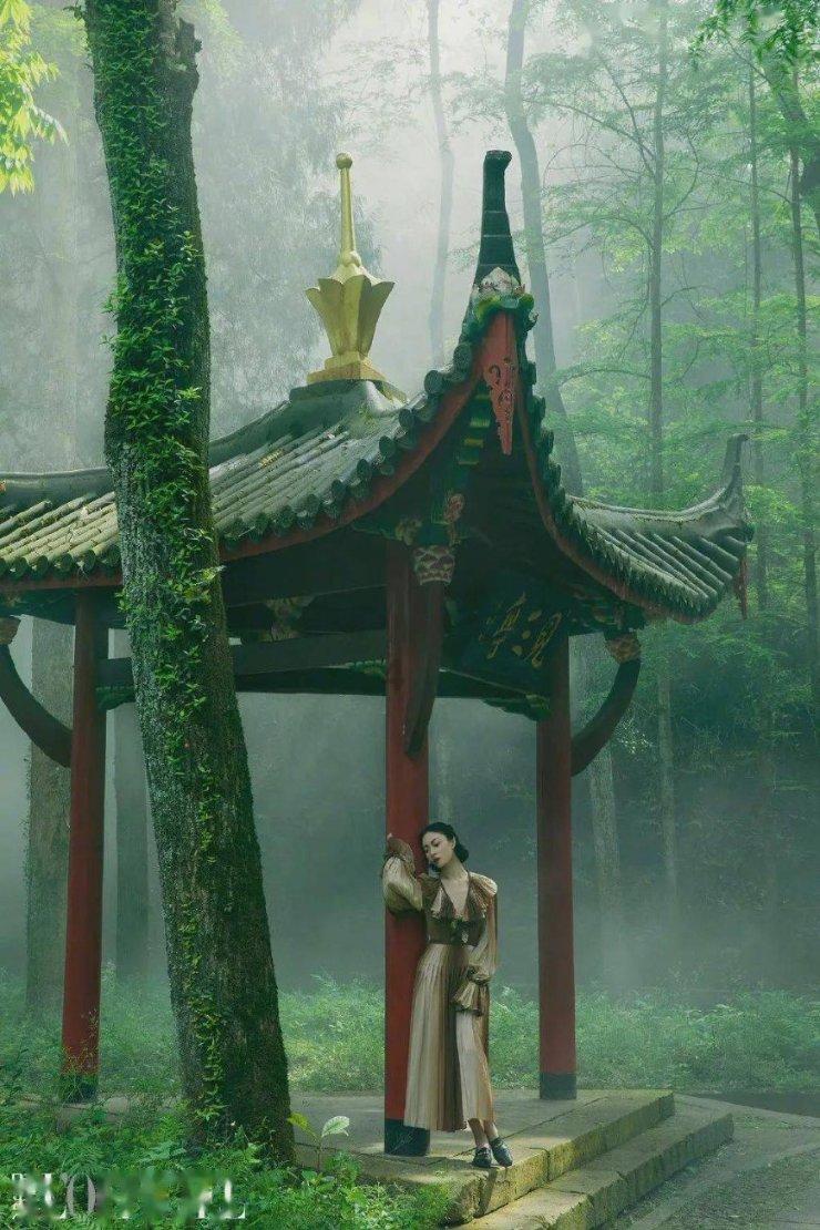 早春呈水部张十八员外与春雪的相同处-全面覆盖的问答社区