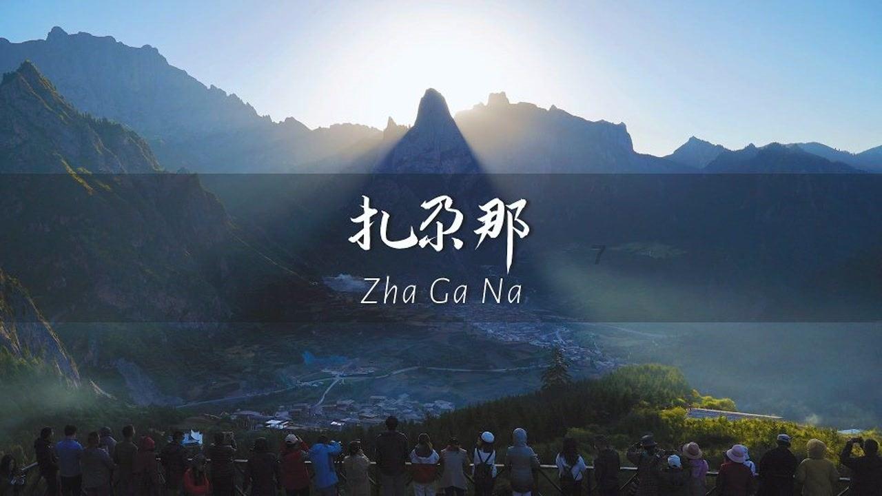 高效问答平台-爱情应该有的样子讲的是什么网站