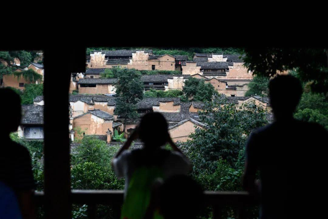 荷叶香汤鸡怎样做?论坛—分享、交流、互助的社区平台