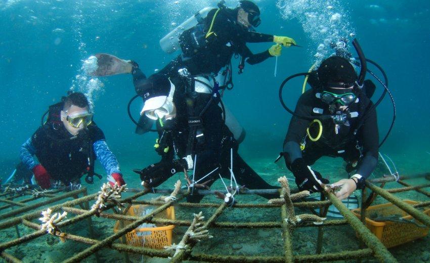 原创又一古装剧首度开播,甜度不输《御赐小仵作》,刘学义翻身演男主