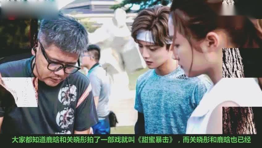 逗小猴开心系列212