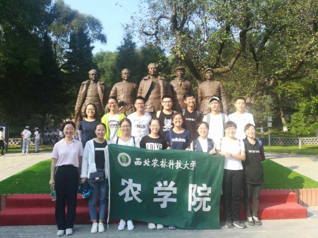 罗马2：全面战争
