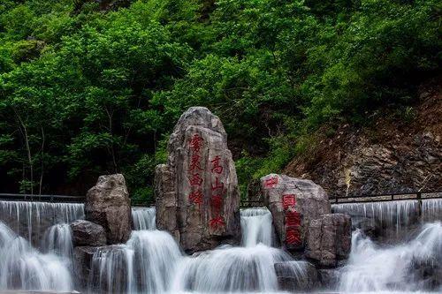 枣庄市市中区矿区街道开展“祥龙献瑞迎新春 非遗文化进万家”活动