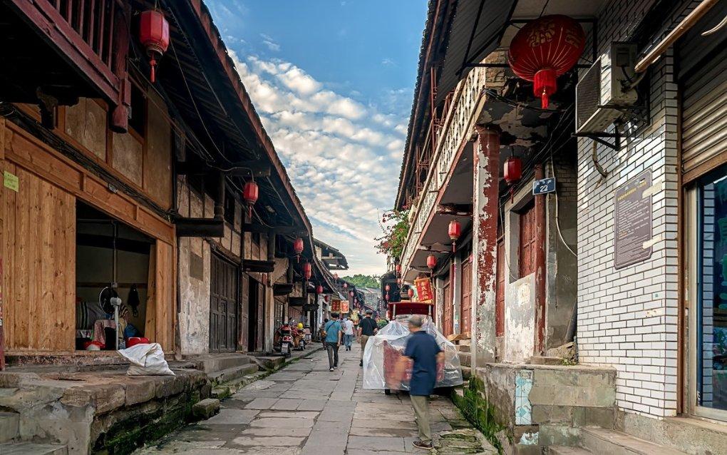 冰上长豆芽冷了心是什么生肖游戏画面